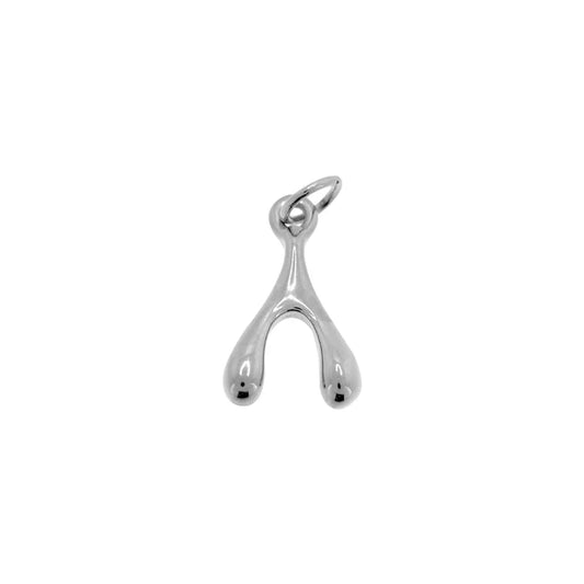 LUCKY BONE SILVER Charm
