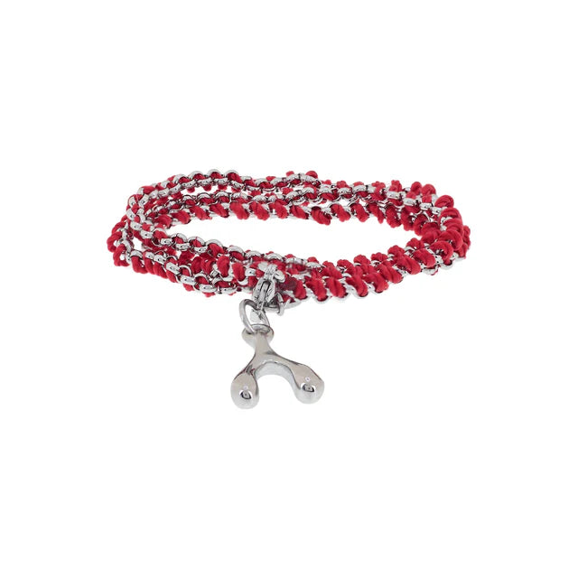 LUCKY BONE SILVER Charm