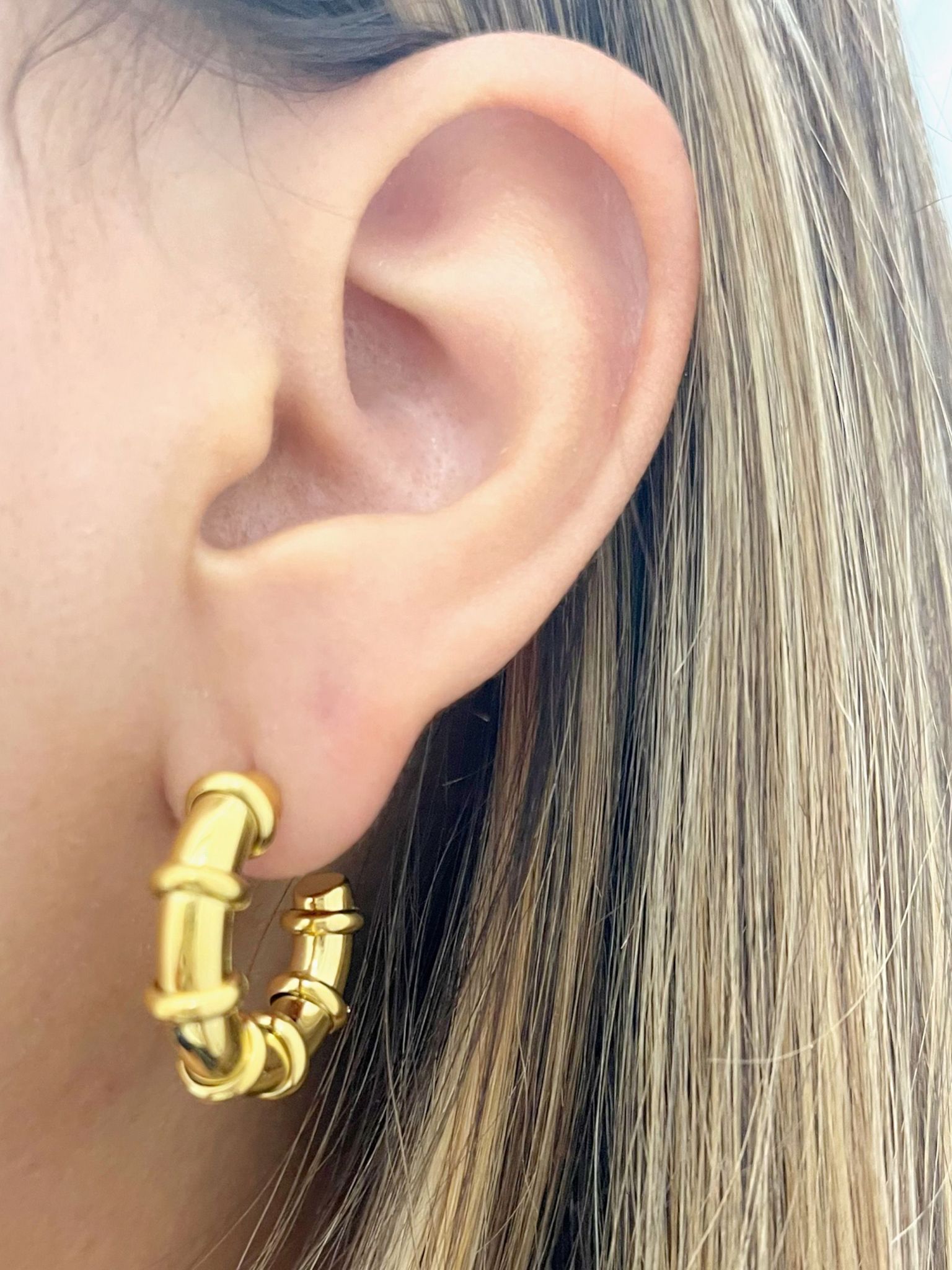 Elena Hoops