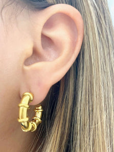 Elena Hoops