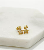 Load image into Gallery viewer, Earring Gold 18k 014
