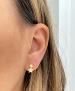 Load image into Gallery viewer, Earring Gold 18k 014
